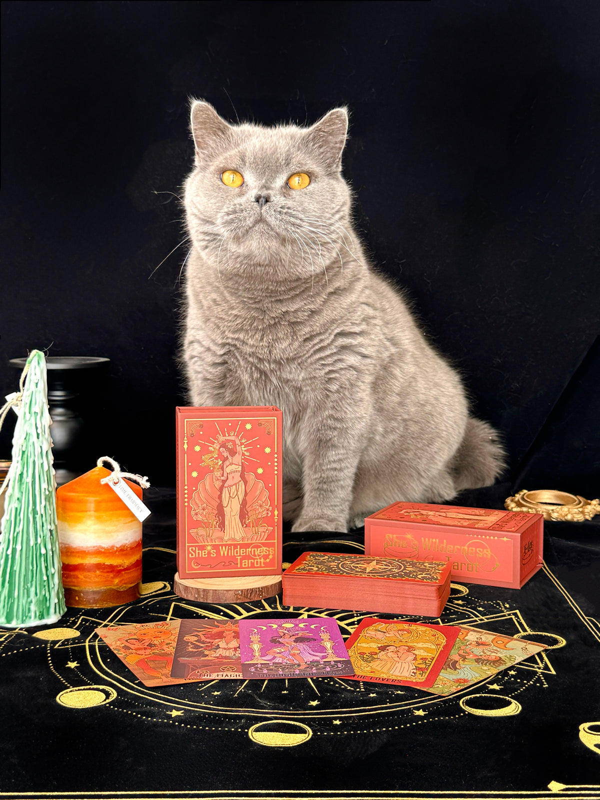 She's Wilderness Tarot Red Deluxe ——A Tribute to the Divine Feminine——All-Women Tarot Deck
