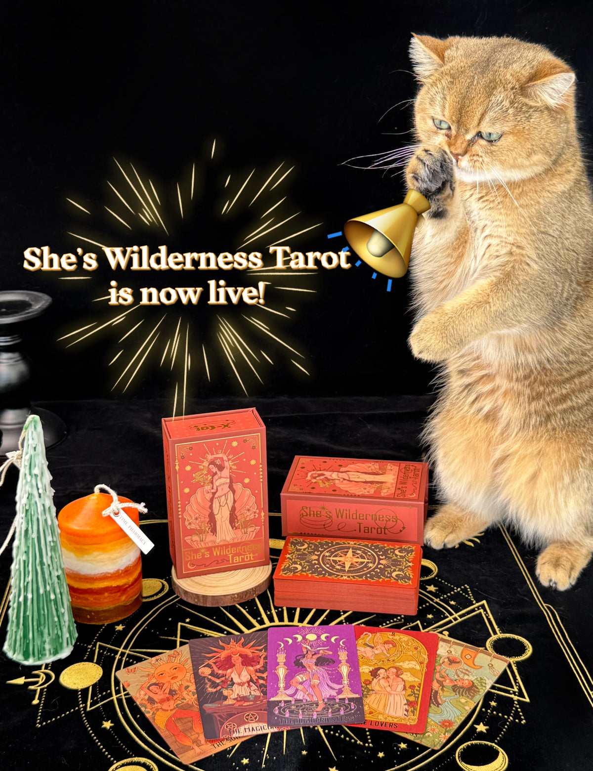 She's Wilderness Tarot Red Deluxe ——A Tribute to the Divine Feminine——All-Women Tarot Deck